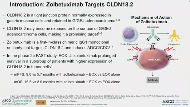 Treatment Options For Metastatic Gastric Cancer - MedOncMD